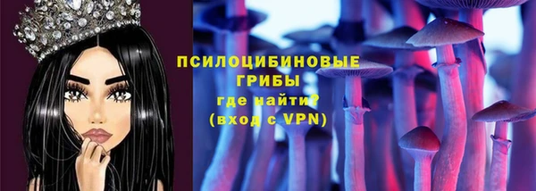 mdpv Ельня