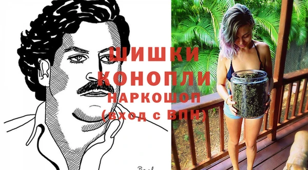 метадон Елизово