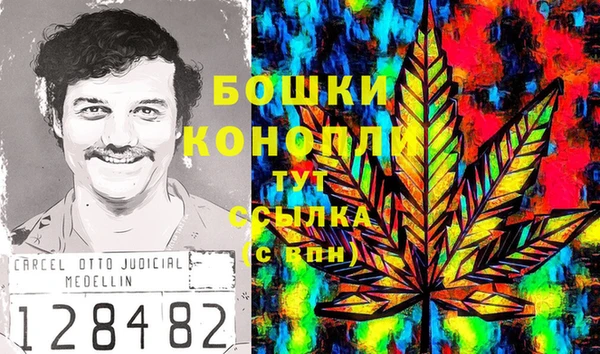 mdpv Ельня