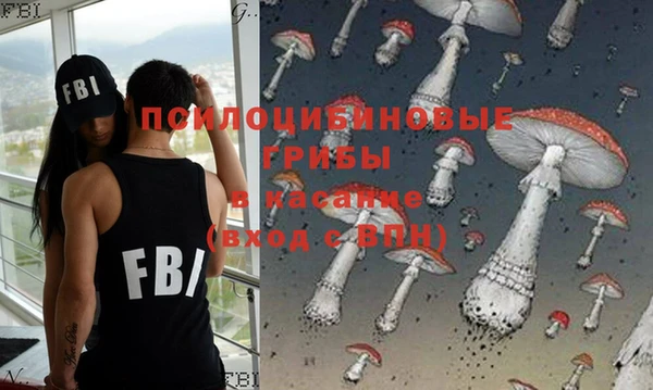 метадон Елизово