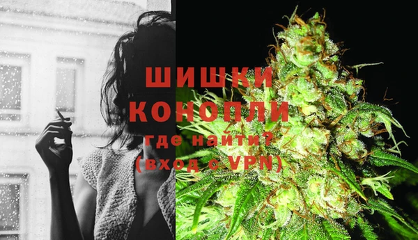 mdpv Ельня