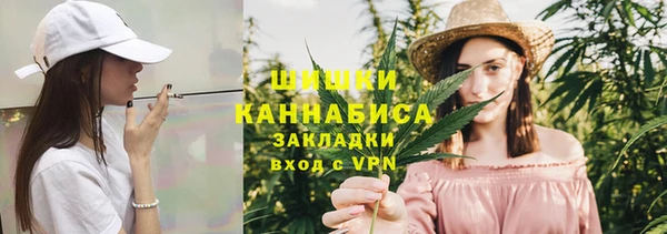Альфа ПВП Дмитриев